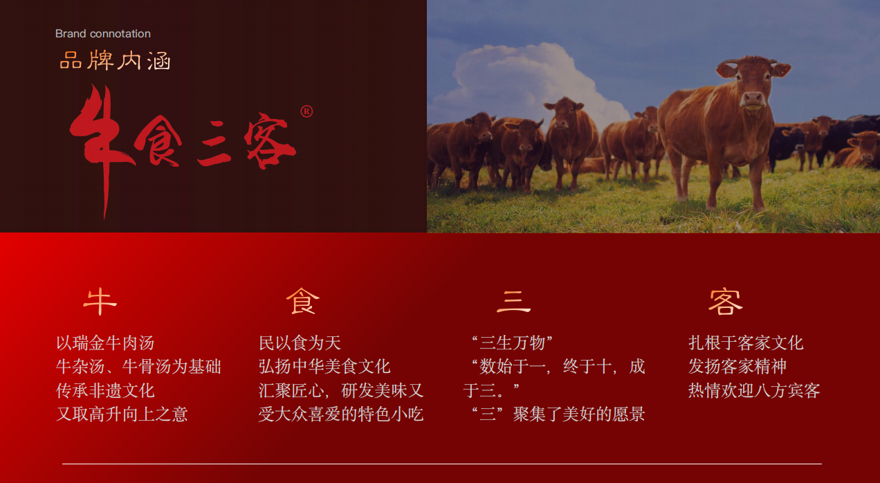 红都文化与品牌内涵展示